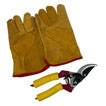 Order  This handy Twin Pack is the perfect combination to tackle brambles or other tricky garden pests.
