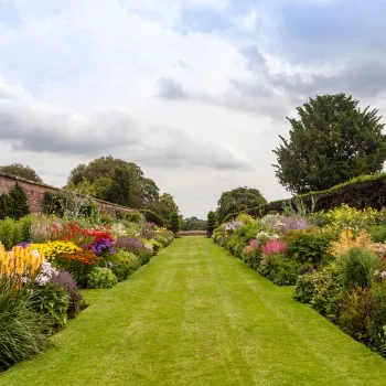 View Can Gardening Reduce Stress?