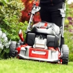 Cobra Lawnmower