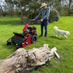 TP690 Flail Lawnmower