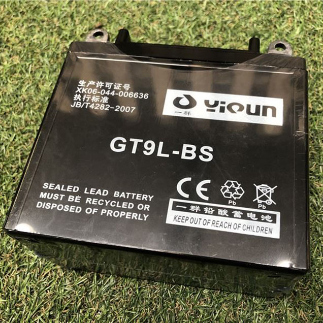 Battery for 15HP Chipper Electric Start GT9L-BS