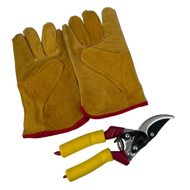 Gloves and Secateur Twin Pack