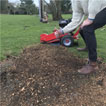 Tree Stump Grinder