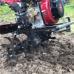 Rotavator for Allotment