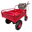 Order  With its huge 500KG load capacity this garden-type barrow is the reliable transportation tool that keeps on working and working for you.